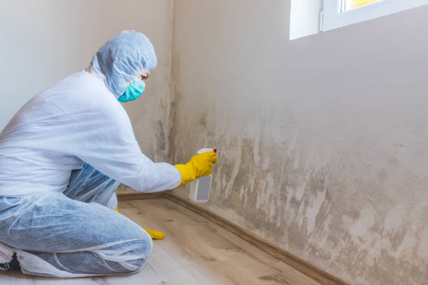 Licensed Bathroom Mold Removal service in Antioch, IL - WQB Mold Removal