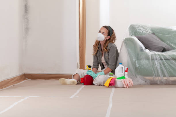 Reliable Bathroom Mold Removal contractor in Antioch, IL by WQB Mold Removal
